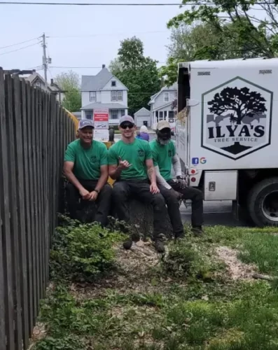 three men sitting next to a truck with Ilya's Tree Service logo