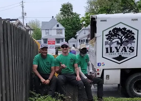 Three tree workers sitting on a large tree stump, wearing green company t-shirts and caps, with a company truck in the background.