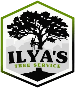 Ilya's Tree Service Logo